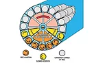continuous rotary sterilizers