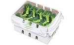 Xtend packaging