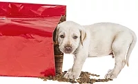 PREMIUM PET FOOD BRANDS