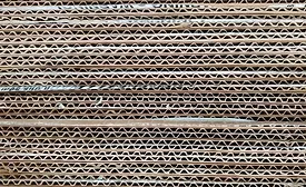 Cardboard