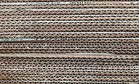 Cardboard