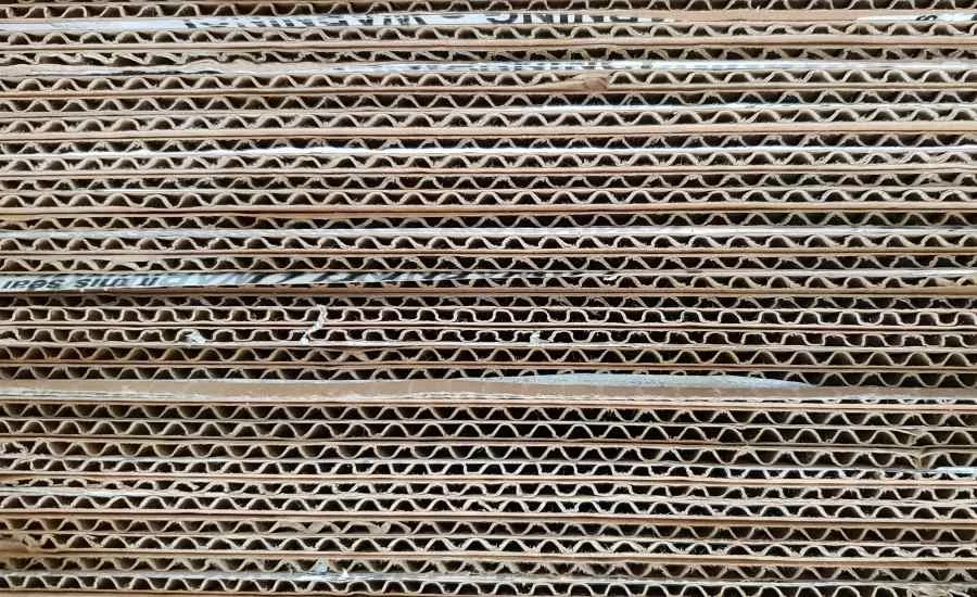 Cardboard