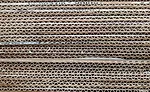 Cardboard