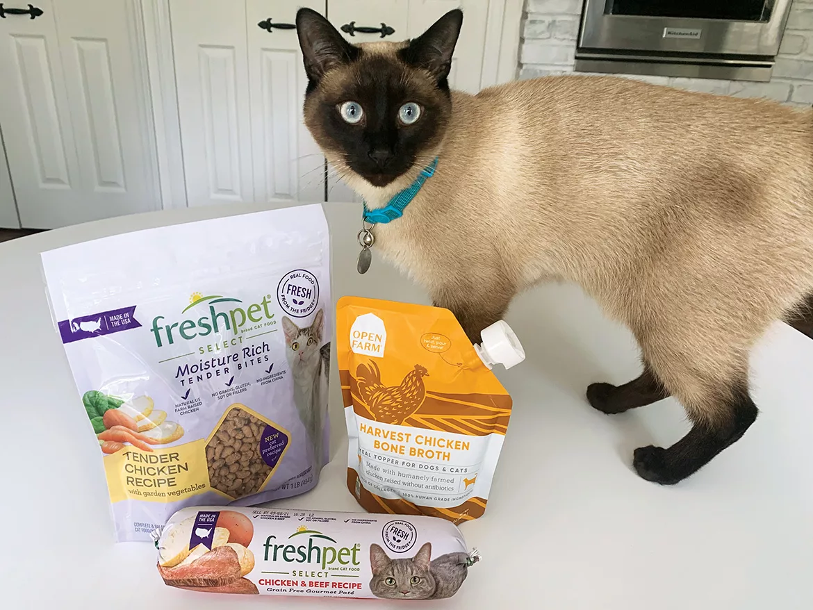 Pet Food