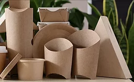 Eco Earth paper food containers