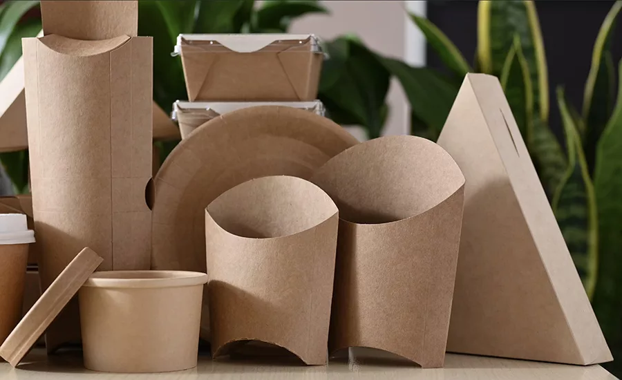 Eco Earth paper food containers