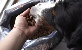 Pet Food Packaging
