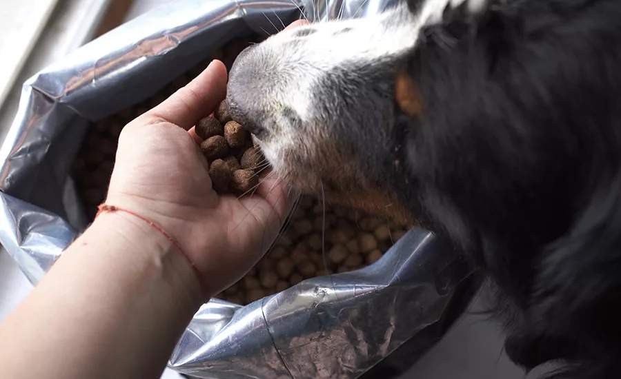 Pet Food Packaging