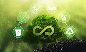 Sustainable fresh produce packaging