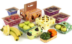 fiber-based packaging for produce