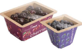 ProducePack™ Punnet tray containing cherries