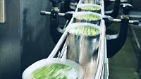A row of unsealed cans with green peas moving along the belt.