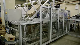Carton packing robot in a food factory