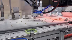 Image of the Spyder Pick and Place Joint Robot sorting pre-rolls.