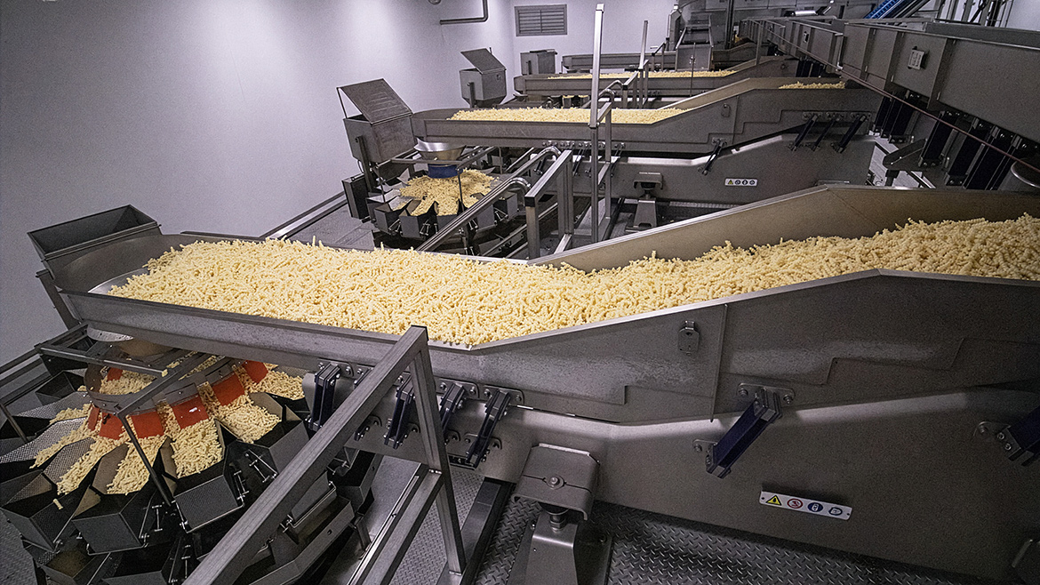 Image of a vibratory scale-feed conveyor delivering controlled portions of product to each of several multi-head scales for consistent fills.