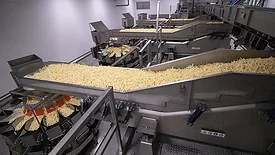 Image of a vibratory scale-feed conveyor delivering controlled portions of product to each of several multi-head scales for consistent fills.