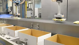 Product packaging in the factory showcasing different conveyors