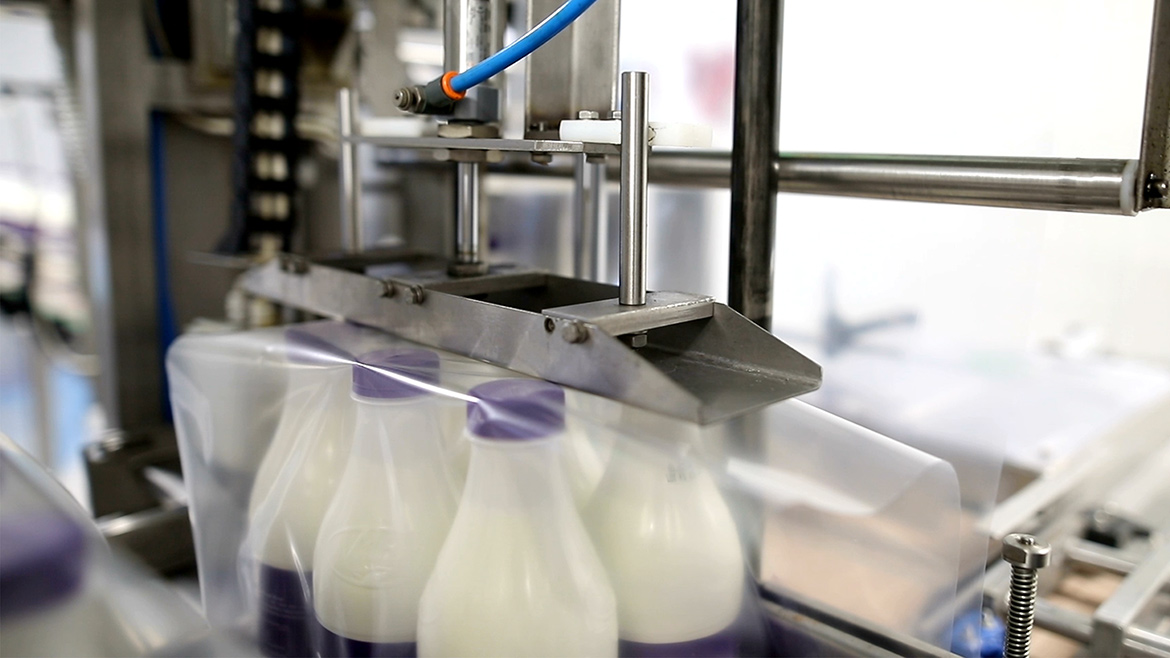 Machine packing six plastic bottles with milk.