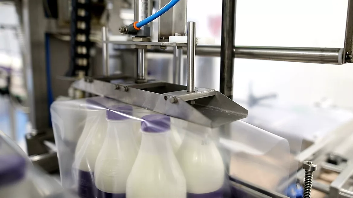 Machine packing six plastic bottles with milk.