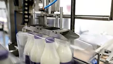 Machine packing six plastic bottles with milk.