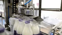 Machine packing six plastic bottles with milk.