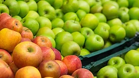 A variety of apples in the grocery store produce aisle.