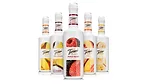 Torani Smoothie Mix