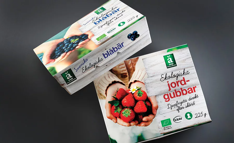 packaging sustainability