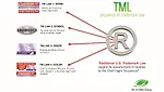 Trademark Law