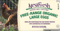 net fresh eggs