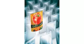 sunchemical