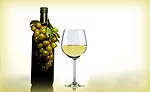 wine packaging