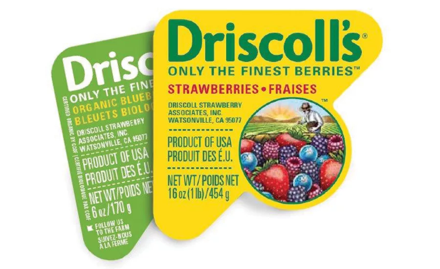driscolls berries