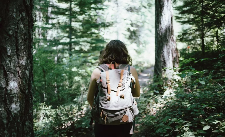 hiker