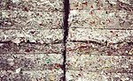 Building New Uses for Recycled Cartons