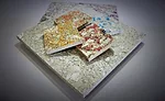 Building New Uses for Recycled Cartons
