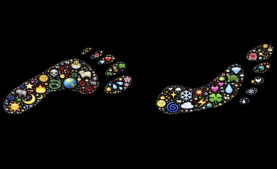 sustainability