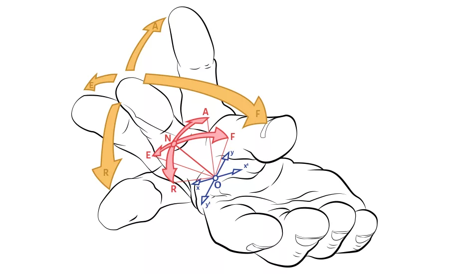 Designing Packaging To Match Hand Dexterity
