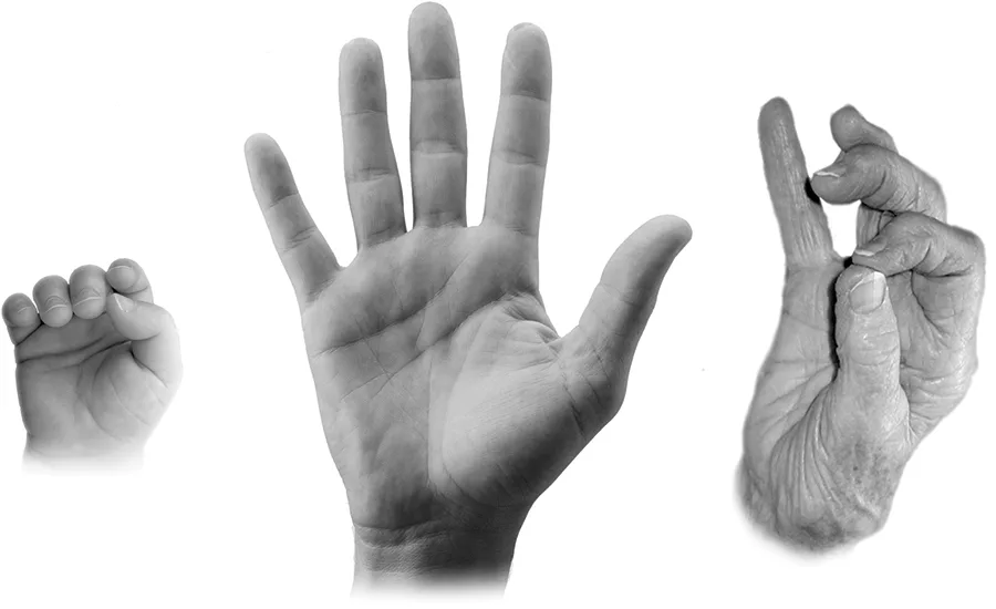 Designing Packaging To Match Hand Dexterity