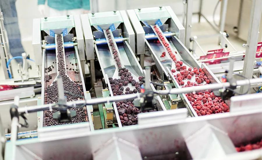 Preventing food waste