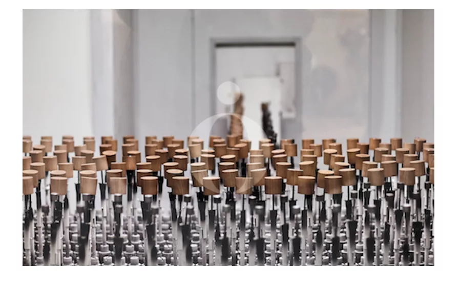 Pujolasos Doubles Capacity to Manufacture Wooden Packaging