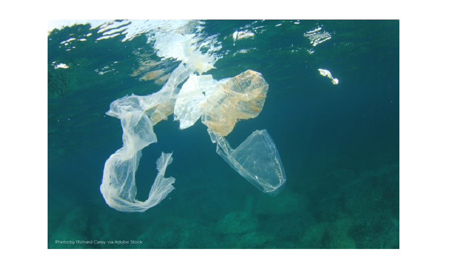 Partnership launches $2M Innovation Prize to keep plastics out of the ocean