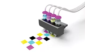 Customize to Gain Customers