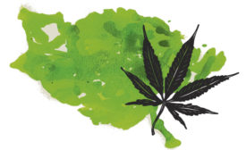 Marijuana Goes Mainstream: The Packaging of Pot
