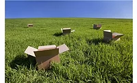 New Packaging Boxes Smell Like Freshly Cut Grass