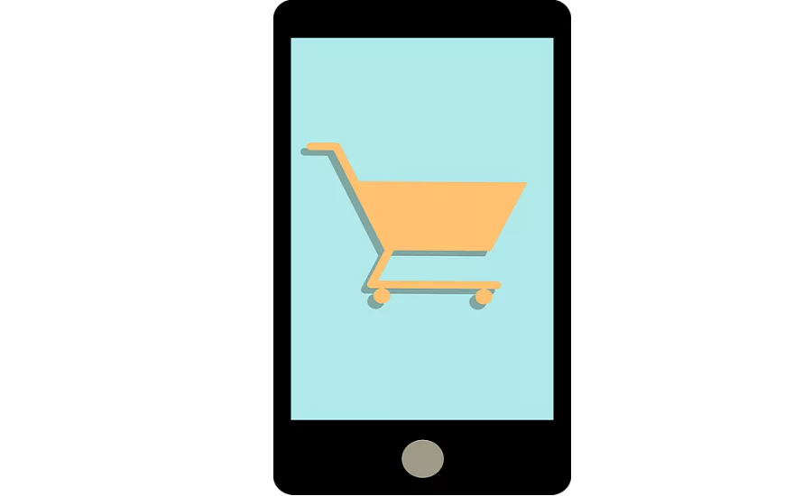 Consumers Want Fast and Free Online Shopping