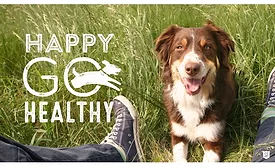 Supplement for Dogs Banks on Happy, Healthy Pets