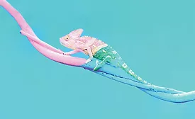 adaptive design agency 