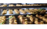 How Surging U.S. Food Production Should Drive Your Packaging Design