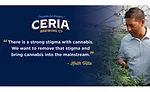 Riding The Cannabis Wave
